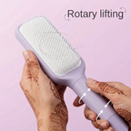 2-in-1 Self Cleaning Hair Brush